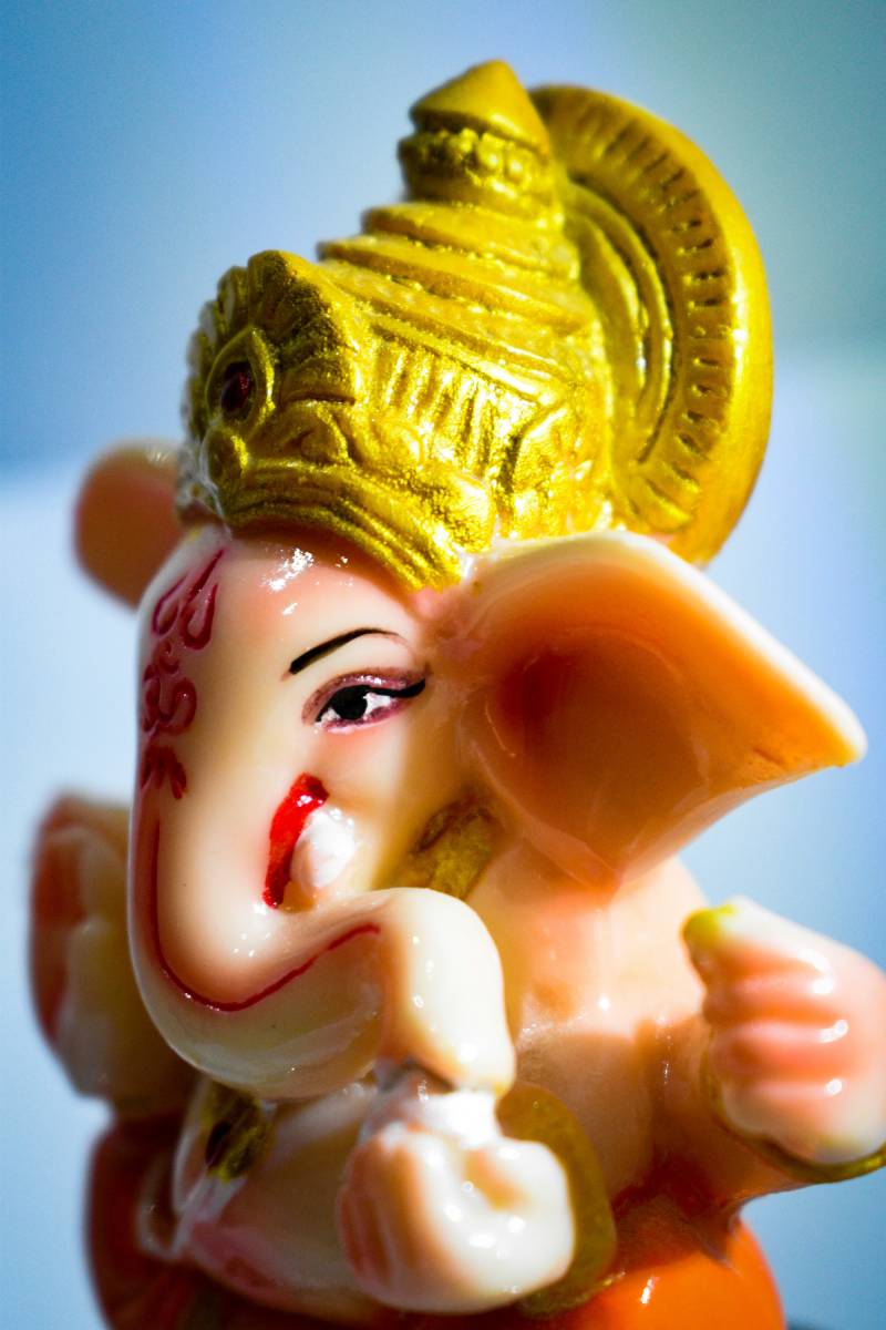 विशेष उपाय छवि